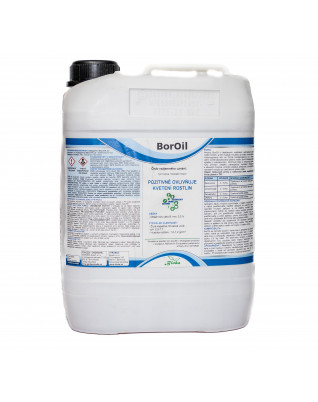 BorOil 5 L