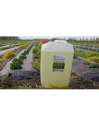 Microfertile carbon kapalný  25 L
